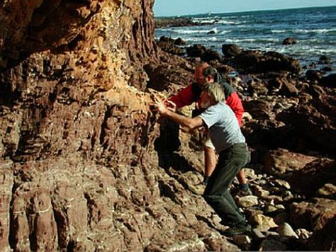 Almost half of geologists do believe in AGW, although the vast majority of those are non economic geologists. Image courtesy Google Images