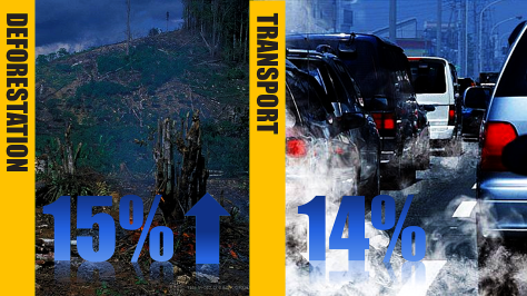Deforestation vs Cars Emmissions
