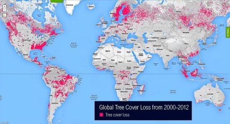 Global tree cover loss 2000-2012 Image courtesy World Resource Institute